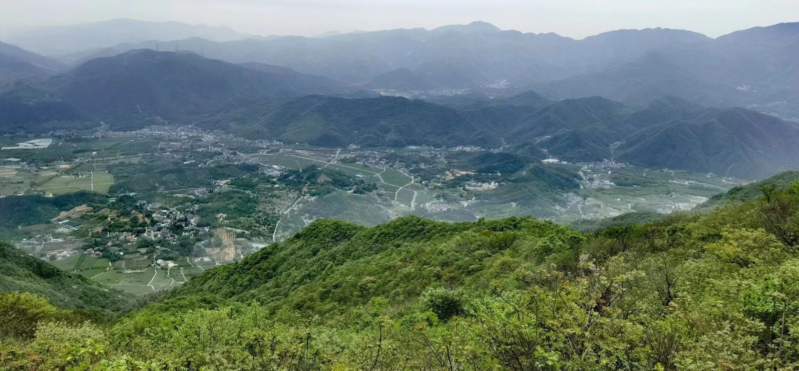 1683769528848778.jpg 16.jpg