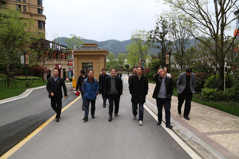 集團(tuán)公司領(lǐng)導(dǎo)調(diào)研瀾庭國際項目建設(shè)銷售情況