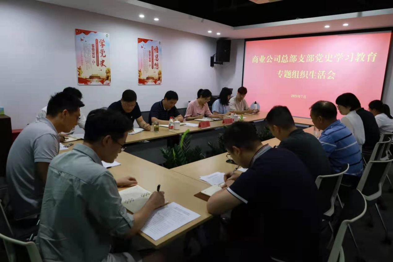 商業(yè)公司召開黨史學(xué)習(xí)教育黨支部專題組織生活會