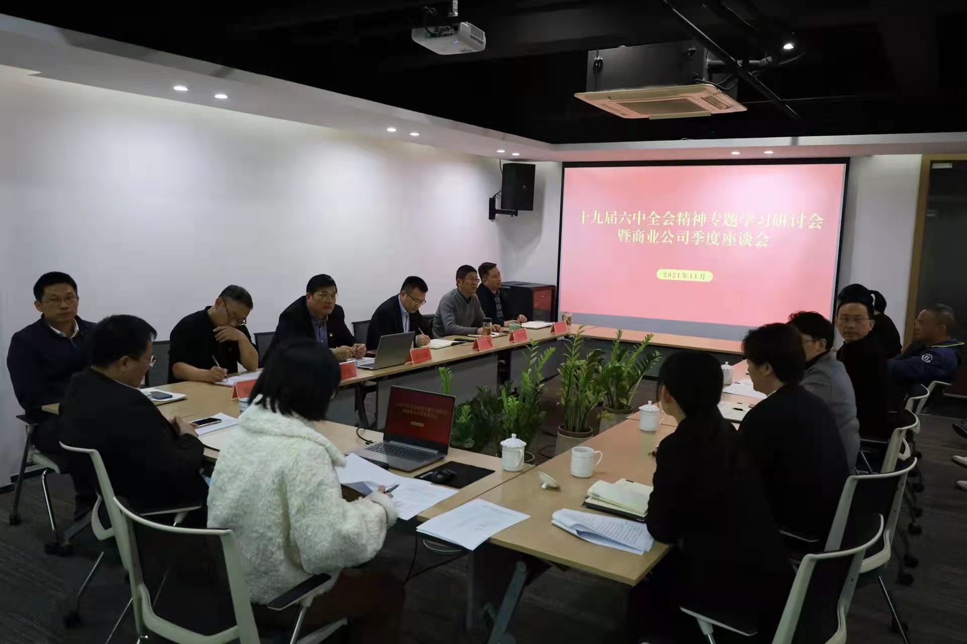 商業(yè)公司召開十九屆六中全會精神專題學習研討會暨季度座談會