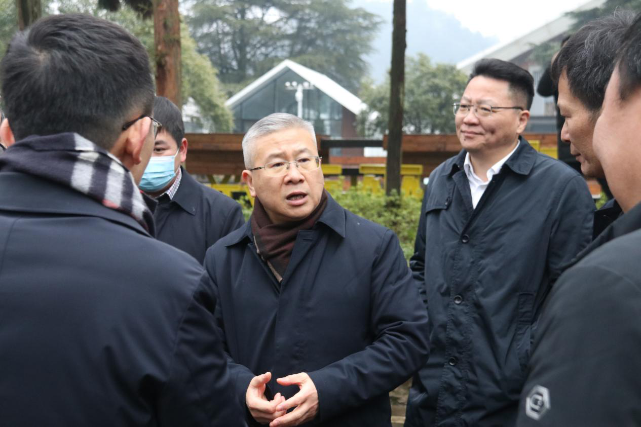 浙江省副省長徐文光一行赴溪口調研指導工作