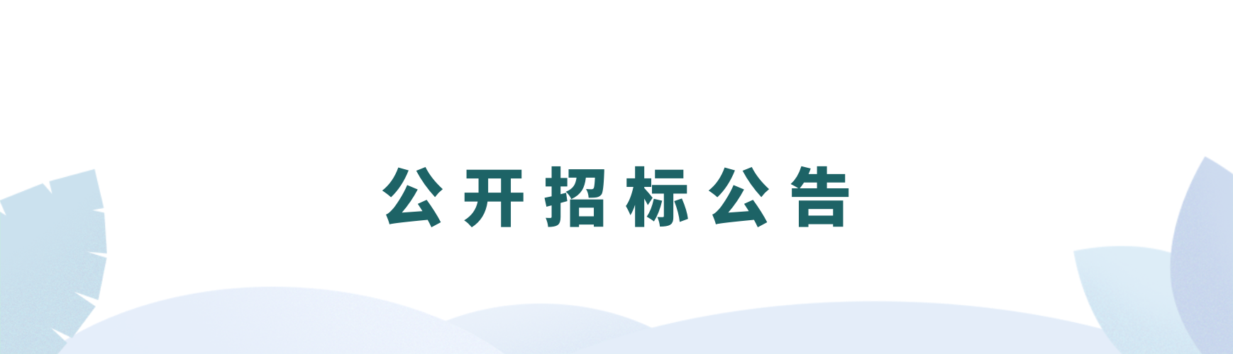 【招標公告】浙江省成套工程有限公司關于浙江省二輕集團有限責任公司審計服務中介機構(gòu)入庫項目的公開招標公告
